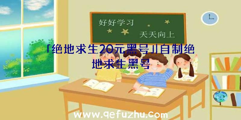 「绝地求生20元黑号」|自制绝地求生黑号